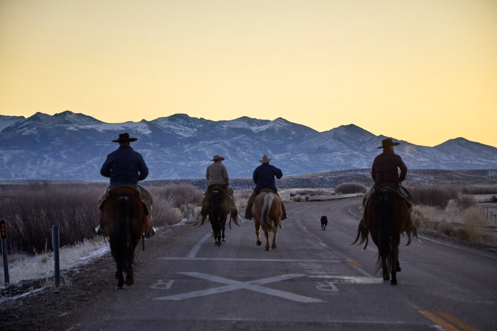 Cowboy-Country-Scene-Setter-Elko-Nevada-USA-TRUE-amerika-america-amerika-rundreisen-usa-kanada-reiseveranstalter-individuelle-usa-reisen-abenteuer-stars-hollywood-movie-blockbuster-golden-gate-brigde-freiheitsstatue